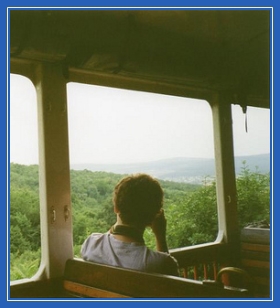 В электричке, путешествие, окно